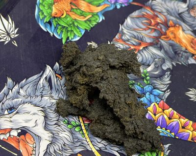AMSTERDAM SKULL HASH